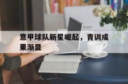 米兰体育app入口-意甲球队新星崛起，青训成果渐显